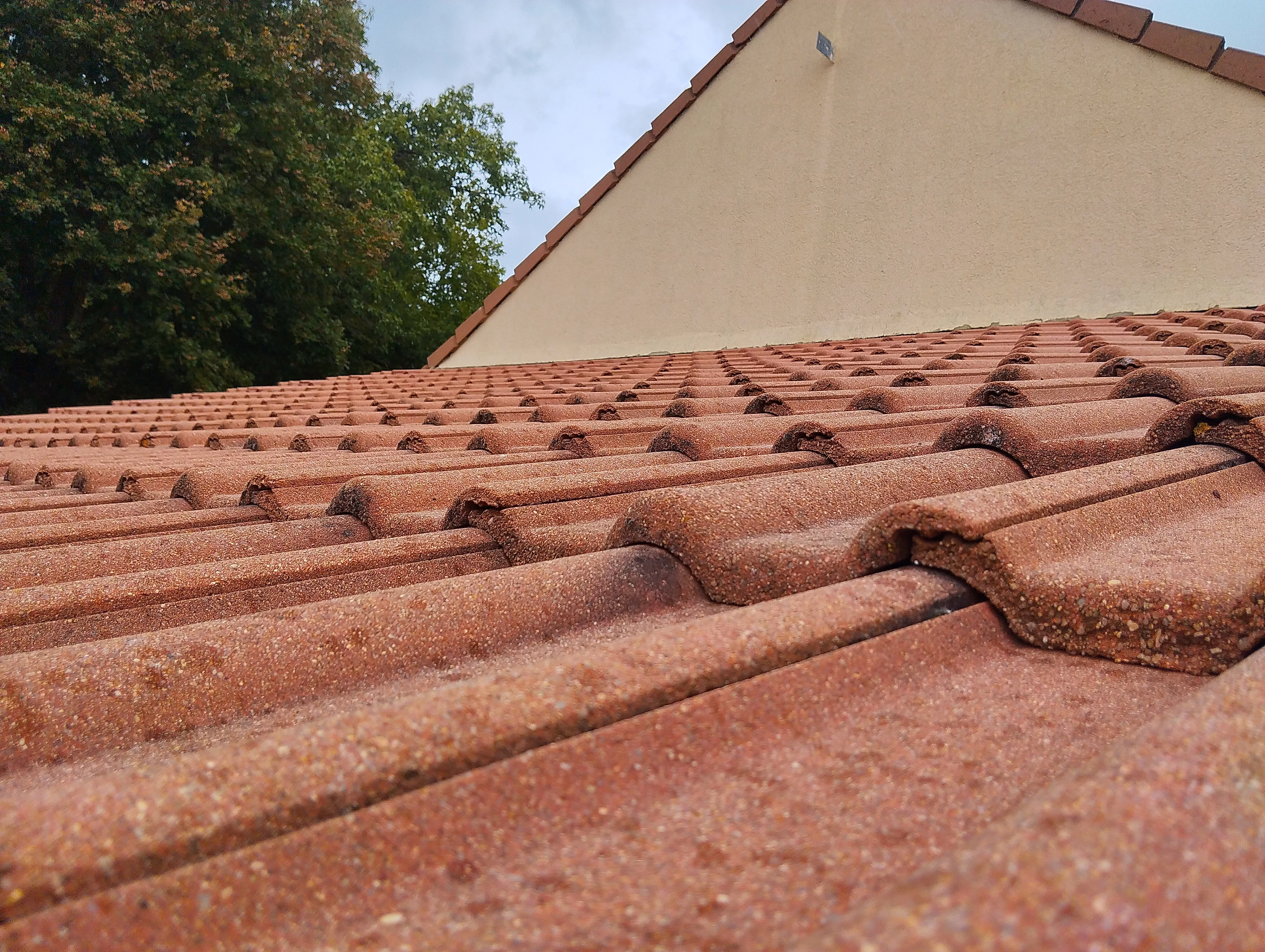 Nettoyage et démoussage de toiture en Sarthe par ÔDOME