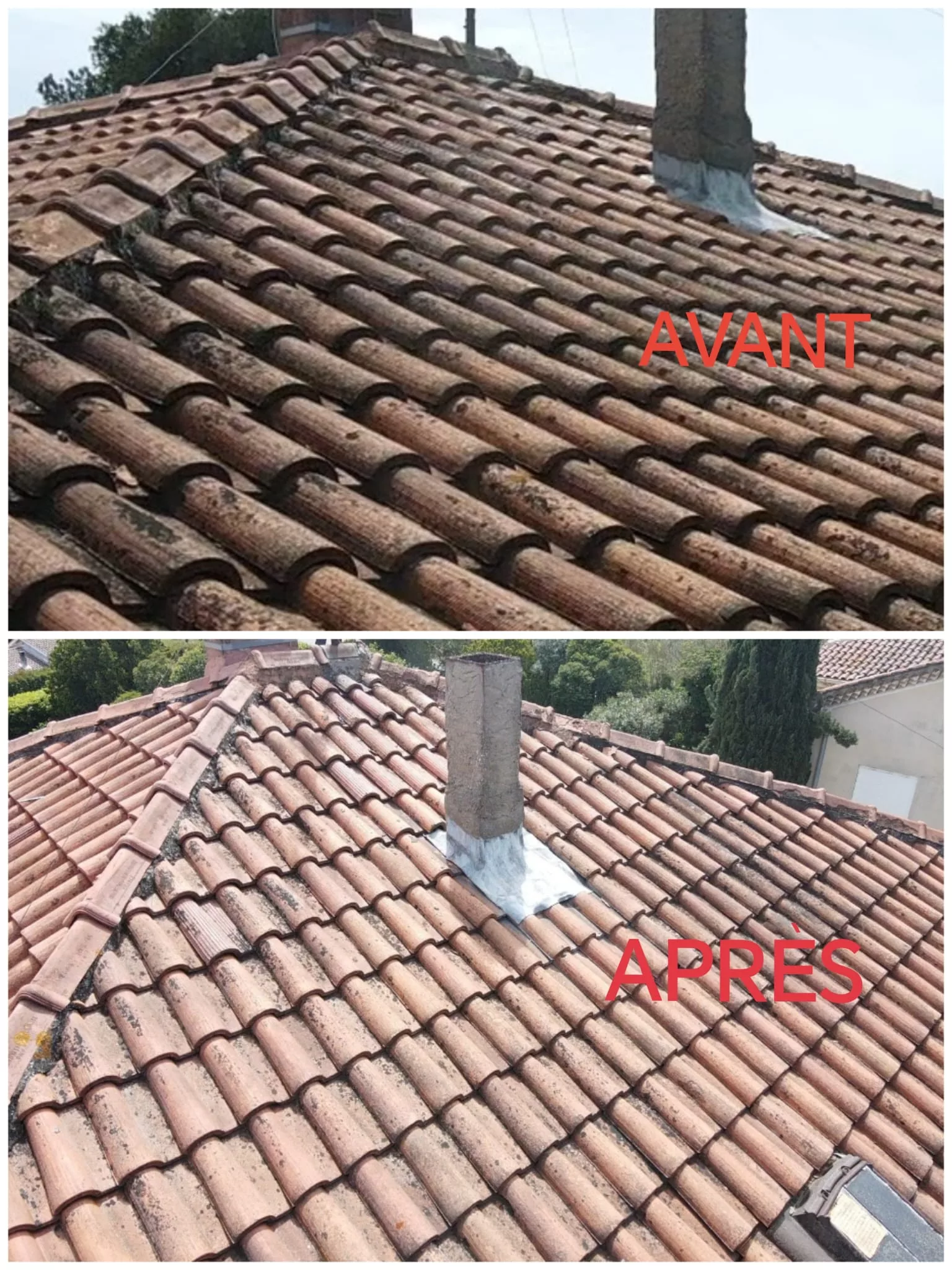 Démoussage toiture Sillé-le-Guillaume 