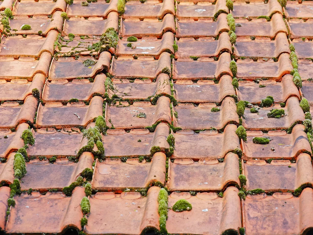 Nettoyage de toiture à Allonnes (72700) près du Mans – méthode douce Softwash ÔDOME