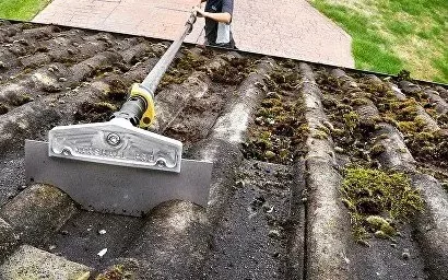 Nettoyage toiture au Mans (72000) par ÔDOME – démoussage doux et protection