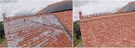 Application de biocide sur toiture — ÔDOME