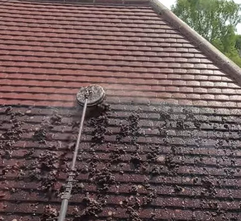 Nettoyage toiture à basse pression — ÔDOME