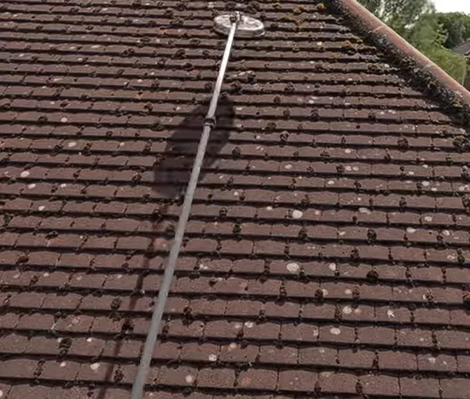 Toiture avant nettoyage à Changé : mousses et lichens