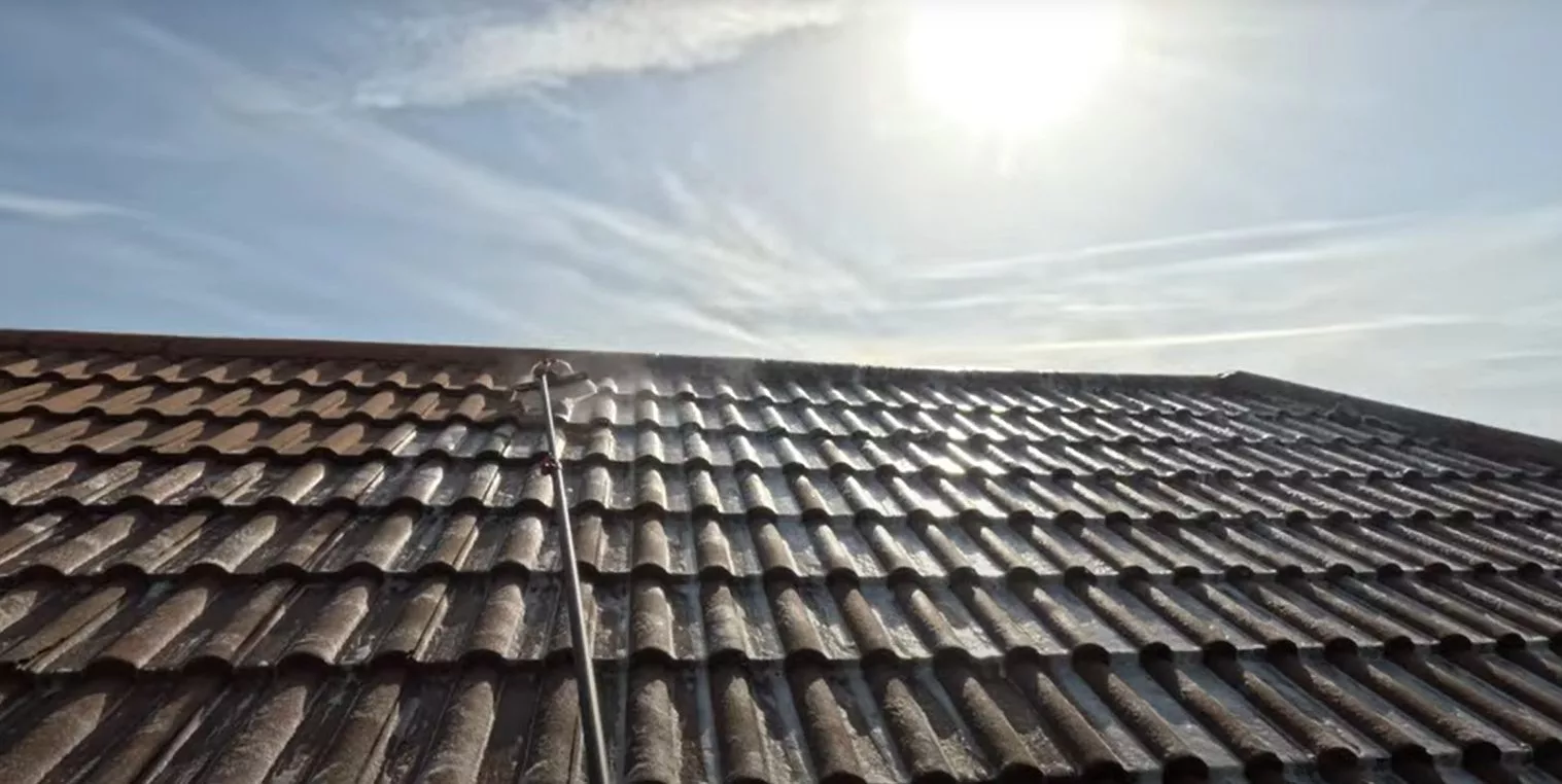 Application de biocide sur toiture — ÔDOME