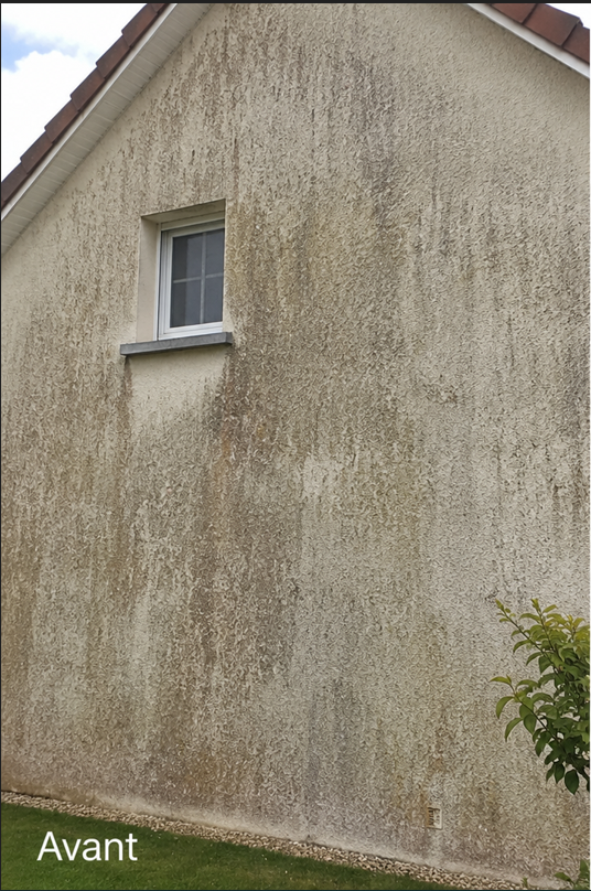 Façade avant nettoyage