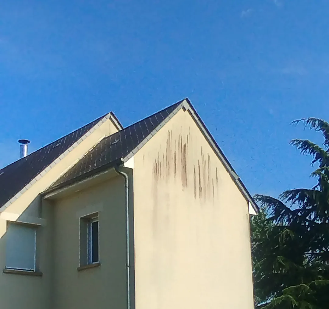 Nettoyage de façade en Sarthe