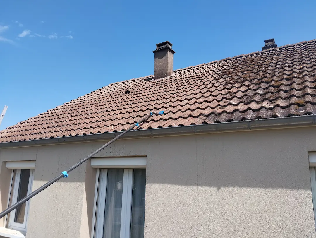 Toiture avant nettoyage